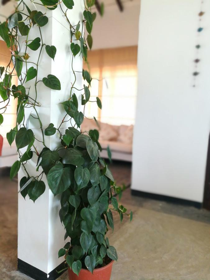 Emerald Mirror Guest 埃拉 外观 照片